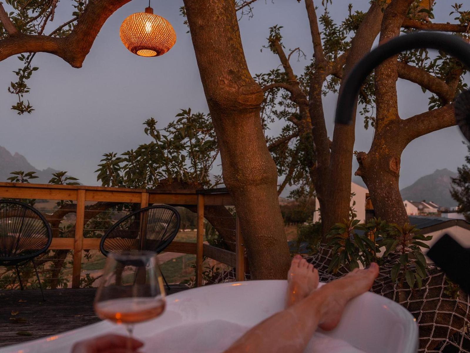 The Log Cabin Lodge Стелленбос Номер фото